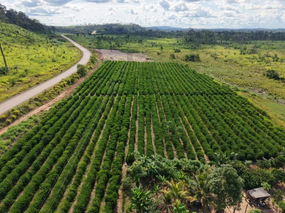 Foto: Reprodução/Assessoria
