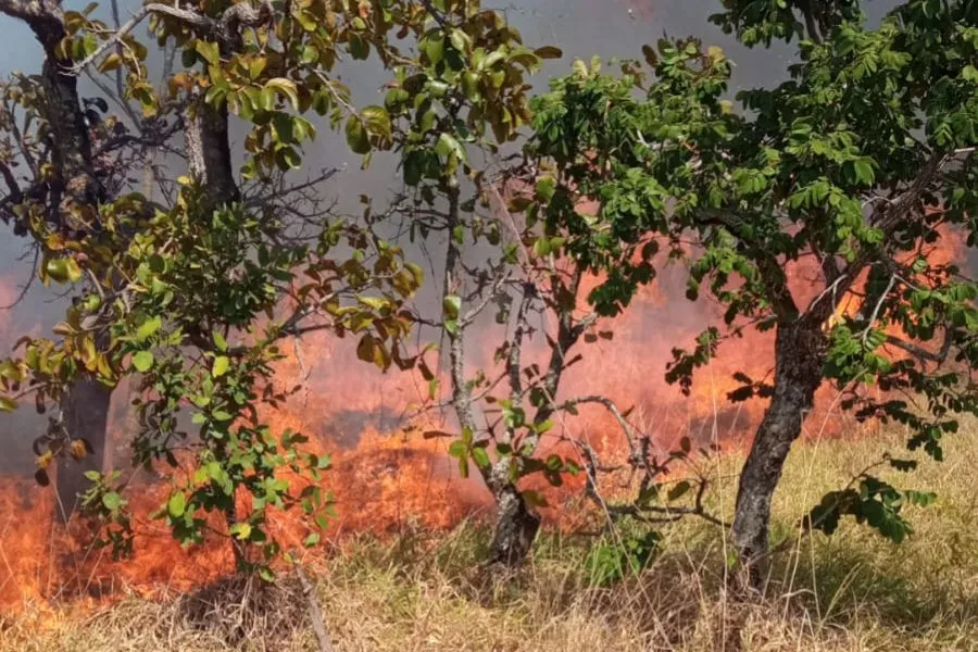 Foto: Reprodução/Assessoria