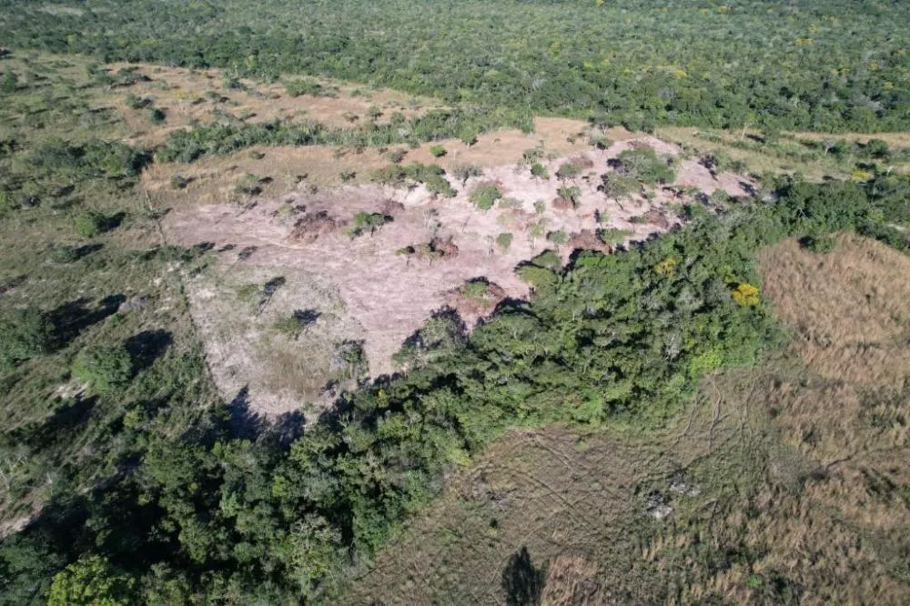 Foto: Reprodução/Assessoria