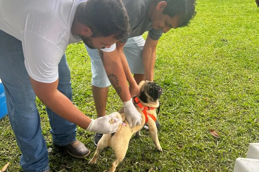 Foto: Reprodução/Assessoria